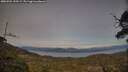 ./images/calvert/fitz-hugh-hecate/20250504/fitz-hugh-hecate20250504_190508M.jpg