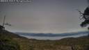./images/calvert/fitz-hugh-hecate/20250504/fitz-hugh-hecate20250504_192507M.jpg