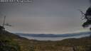 ./images/calvert/fitz-hugh-hecate/20250504/fitz-hugh-hecate20250504_193508M.jpg
