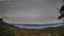 ./images/calvert/fitz-hugh-hecate/20250504/fitz-hugh-hecate20250504_194008M.jpg