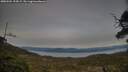 ./images/calvert/fitz-hugh-hecate/20250504/fitz-hugh-hecate20250504_194507M.jpg