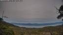 ./images/calvert/fitz-hugh-hecate/20250504/fitz-hugh-hecate20250504_204006M.jpg