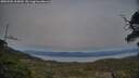 ./images/calvert/fitz-hugh-hecate/20250504/fitz-hugh-hecate20250504_205009M.jpg