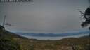 ./images/calvert/fitz-hugh-hecate/20250504/fitz-hugh-hecate20250504_205508M.jpg