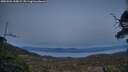 ./images/calvert/fitz-hugh-hecate/20250504/fitz-hugh-hecate20250504_210009M.jpg