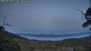 ./images/calvert/fitz-hugh-hecate/20250504/fitz-hugh-hecate20250504_210507M.jpg