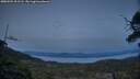 ./images/calvert/fitz-hugh-hecate/20250504/fitz-hugh-hecate20250504_211508M.jpg