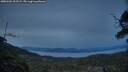 ./images/calvert/fitz-hugh-hecate/20250504/fitz-hugh-hecate20250504_212509M.jpg