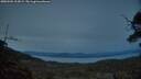./images/calvert/fitz-hugh-hecate/20250504/fitz-hugh-hecate20250504_213008M.jpg