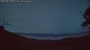 ./images/calvert/fitz-hugh-hecate/20250504/fitz-hugh-hecate20250504_214508M.jpg