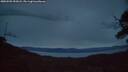 ./images/calvert/fitz-hugh-hecate/20250505/fitz-hugh-hecate20250505_052008M.jpg