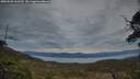 ./images/calvert/fitz-hugh-hecate/20250505/fitz-hugh-hecate20250505_060510M.jpg