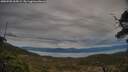 ./images/calvert/fitz-hugh-hecate/20250505/fitz-hugh-hecate20250505_065009M.jpg