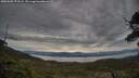 ./images/calvert/fitz-hugh-hecate/20250505/fitz-hugh-hecate20250505_071509M.jpg