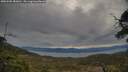 ./images/calvert/fitz-hugh-hecate/20250505/fitz-hugh-hecate20250505_080010M.jpg
