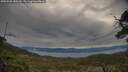 ./images/calvert/fitz-hugh-hecate/20250505/fitz-hugh-hecate20250505_080509M.jpg