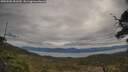 ./images/calvert/fitz-hugh-hecate/20250505/fitz-hugh-hecate20250505_091510M.jpg