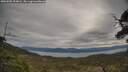 ./images/calvert/fitz-hugh-hecate/20250505/fitz-hugh-hecate20250505_094008M.jpg