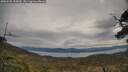 ./images/calvert/fitz-hugh-hecate/20250505/fitz-hugh-hecate20250505_095010M.jpg