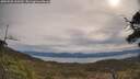./images/calvert/fitz-hugh-hecate/20250505/fitz-hugh-hecate20250505_100509M.jpg
