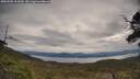 ./images/calvert/fitz-hugh-hecate/20250505/fitz-hugh-hecate20250505_103009M.jpg