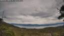 ./images/calvert/fitz-hugh-hecate/20250505/fitz-hugh-hecate20250505_104010M.jpg