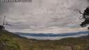 ./images/calvert/fitz-hugh-hecate/20250505/fitz-hugh-hecate20250505_104509M.jpg