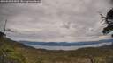 ./images/calvert/fitz-hugh-hecate/20250505/fitz-hugh-hecate20250505_105010M.jpg