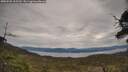 ./images/calvert/fitz-hugh-hecate/20250505/fitz-hugh-hecate20250505_105509M.jpg