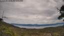 ./images/calvert/fitz-hugh-hecate/20250505/fitz-hugh-hecate20250505_110508M.jpg