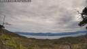 ./images/calvert/fitz-hugh-hecate/20250505/fitz-hugh-hecate20250505_111010M.jpg