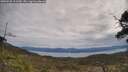 ./images/calvert/fitz-hugh-hecate/20250505/fitz-hugh-hecate20250505_111510M.jpg