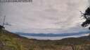./images/calvert/fitz-hugh-hecate/20250505/fitz-hugh-hecate20250505_112009M.jpg