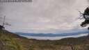 ./images/calvert/fitz-hugh-hecate/20250505/fitz-hugh-hecate20250505_112508M.jpg