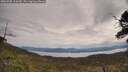 ./images/calvert/fitz-hugh-hecate/20250505/fitz-hugh-hecate20250505_113010M.jpg