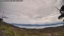 ./images/calvert/fitz-hugh-hecate/20250505/fitz-hugh-hecate20250505_113509M.jpg