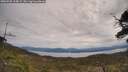 ./images/calvert/fitz-hugh-hecate/20250505/fitz-hugh-hecate20250505_114009M.jpg