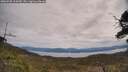 ./images/calvert/fitz-hugh-hecate/20250505/fitz-hugh-hecate20250505_114510M.jpg