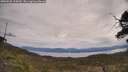 ./images/calvert/fitz-hugh-hecate/20250505/fitz-hugh-hecate20250505_115010M.jpg