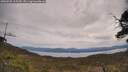 ./images/calvert/fitz-hugh-hecate/20250505/fitz-hugh-hecate20250505_115509M.jpg