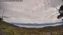 ./images/calvert/fitz-hugh-hecate/20250505/fitz-hugh-hecate20250505_120509M.jpg