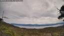 ./images/calvert/fitz-hugh-hecate/20250505/fitz-hugh-hecate20250505_121511M.jpg