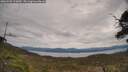 ./images/calvert/fitz-hugh-hecate/20250505/fitz-hugh-hecate20250505_123010M.jpg