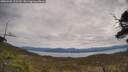 ./images/calvert/fitz-hugh-hecate/20250505/fitz-hugh-hecate20250505_123510M.jpg