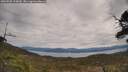 ./images/calvert/fitz-hugh-hecate/20250505/fitz-hugh-hecate20250505_124010M.jpg