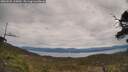 ./images/calvert/fitz-hugh-hecate/20250505/fitz-hugh-hecate20250505_125010M.jpg