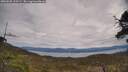 ./images/calvert/fitz-hugh-hecate/20250505/fitz-hugh-hecate20250505_125509M.jpg