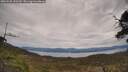 ./images/calvert/fitz-hugh-hecate/20250505/fitz-hugh-hecate20250505_130509M.jpg