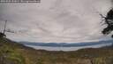 ./images/calvert/fitz-hugh-hecate/20250505/fitz-hugh-hecate20250505_132009M.jpg