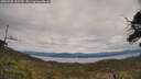 ./images/calvert/fitz-hugh-hecate/20250505/fitz-hugh-hecate20250505_132509M.jpg